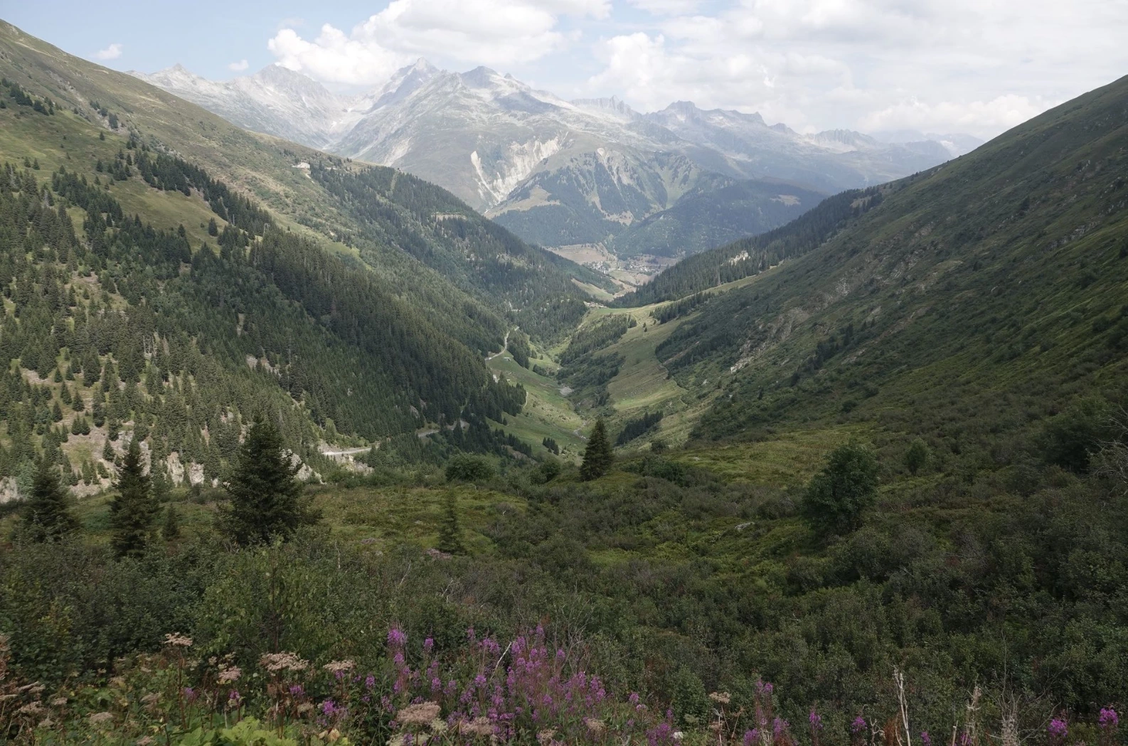 Blick hinter in die Val Nalps
