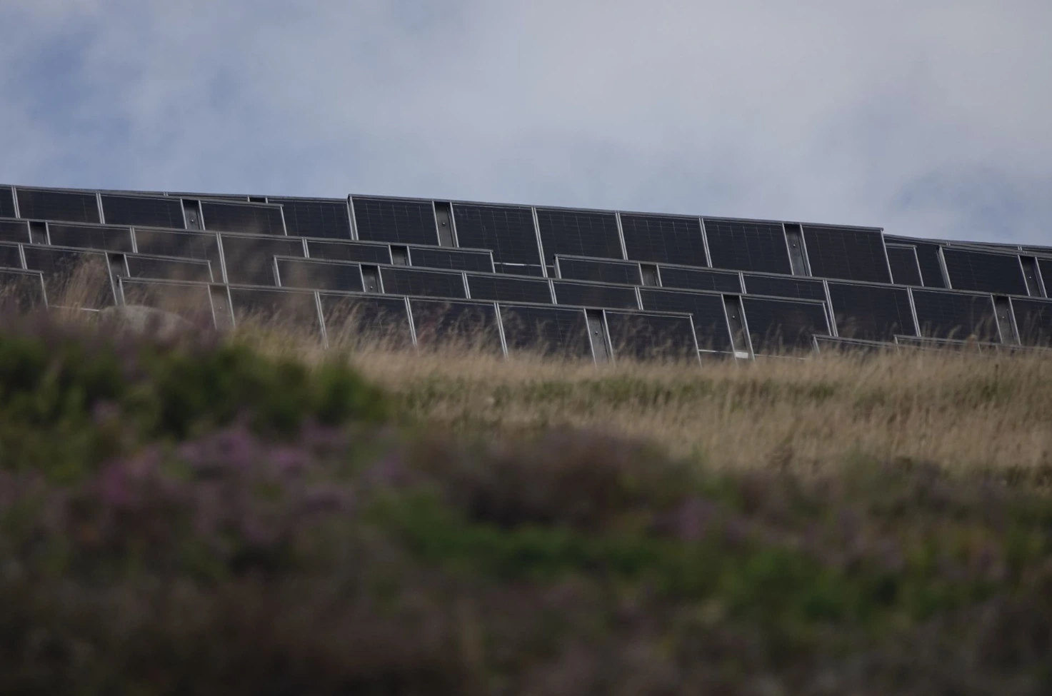 Ein letzter Blick von unten an die Wand aus Solarpaneelen