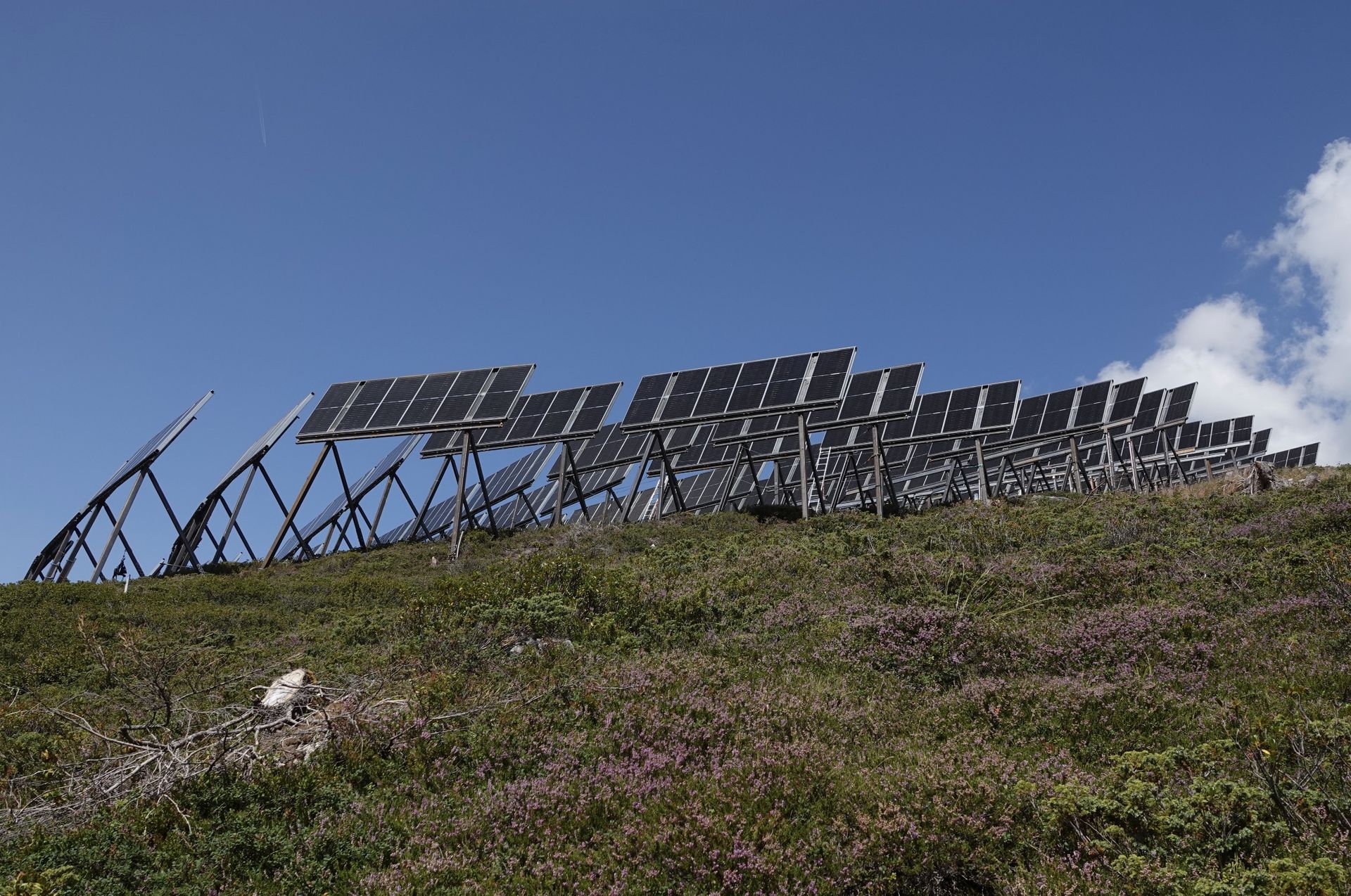 Von unten wirken die mächtigen Solartische noch höher 